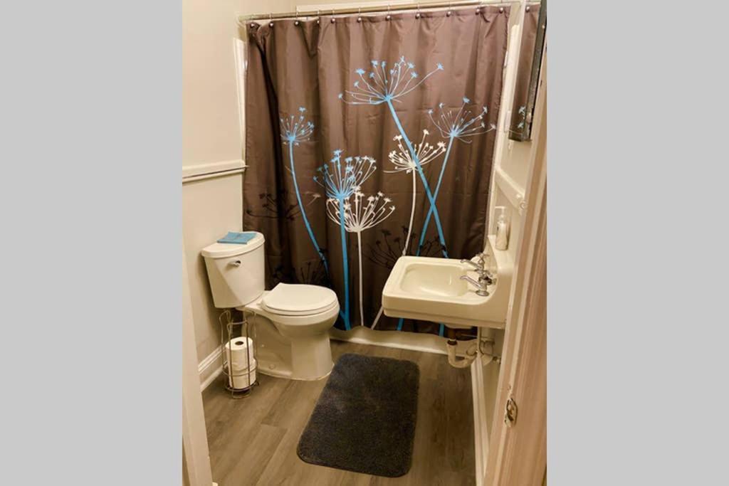 Darling Cottage In University Park 롤리 외부 사진